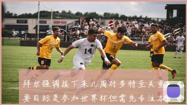 拜尔强调接下来几周对多特至关重要目标是参加世界杯但需先专注本赛季表现