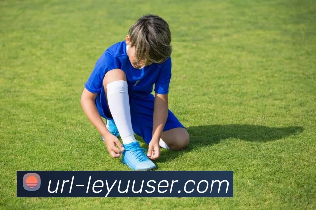 乐鱼体育平台生态图